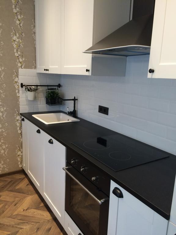 Luxury Apartment Druskininkai Buitenkant foto